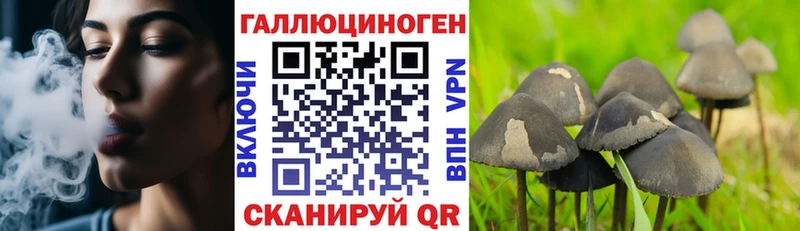 Псилоцибиновые грибы Cubensis  где купить наркотик  Сорск 
